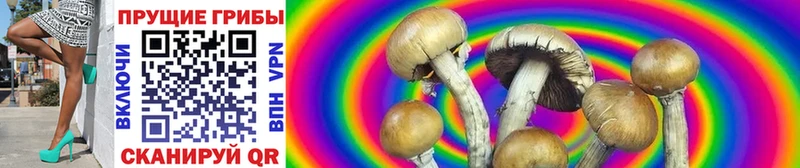 Псилоцибиновые грибы Magic Shrooms  продажа наркотиков  Тамбов 